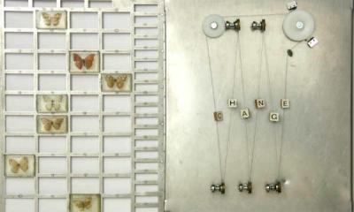 Margaret Michel expose à la Galerie Matarasso, du 24 avril au 10 mai 2025