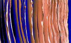 corse-rodriguez-antoniotti-150