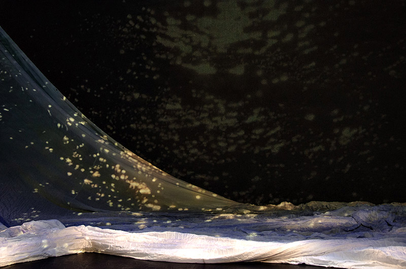 bataillard glaneur de reve grasse