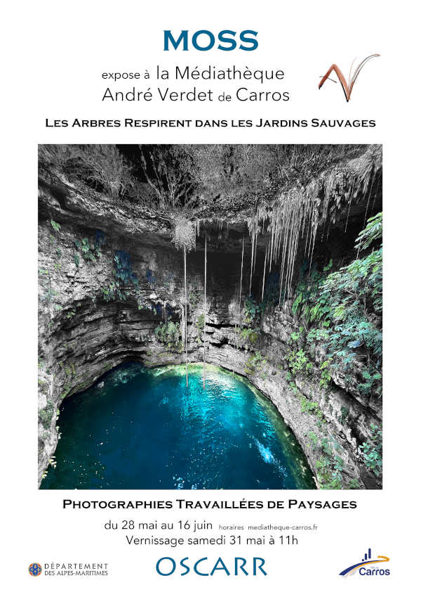 Moss Carros2025 invit