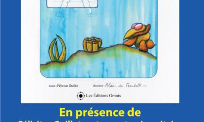 Alain de Fombelle : présentation « Un écran trop captivant »