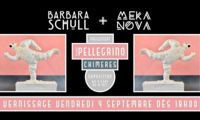 Richard PELLEGRINO : exposition 