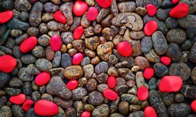 Reprise du rendez-vous annuel 