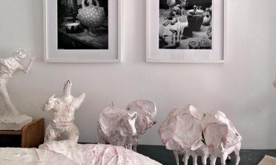 Richard PELLEGRINO : 