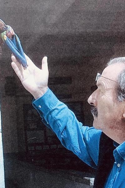Yves Bayard