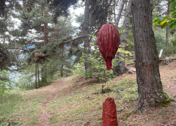 Claudie Poinsard 