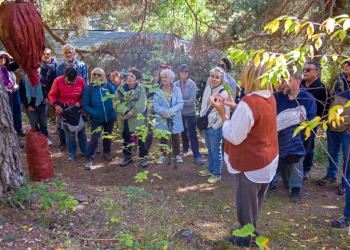 Vernissage à l'Arboretum 