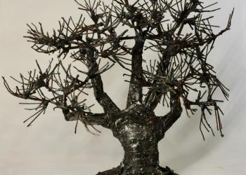 Arbre de la concorde