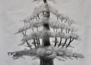 Arbre