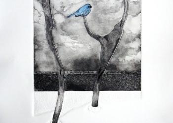 Quand l'Oiseau bleu prend la pause